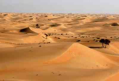 Some deserts are so hot that when it rains, the water evaporates in the air before ever hitting the ground. - MirrorLog